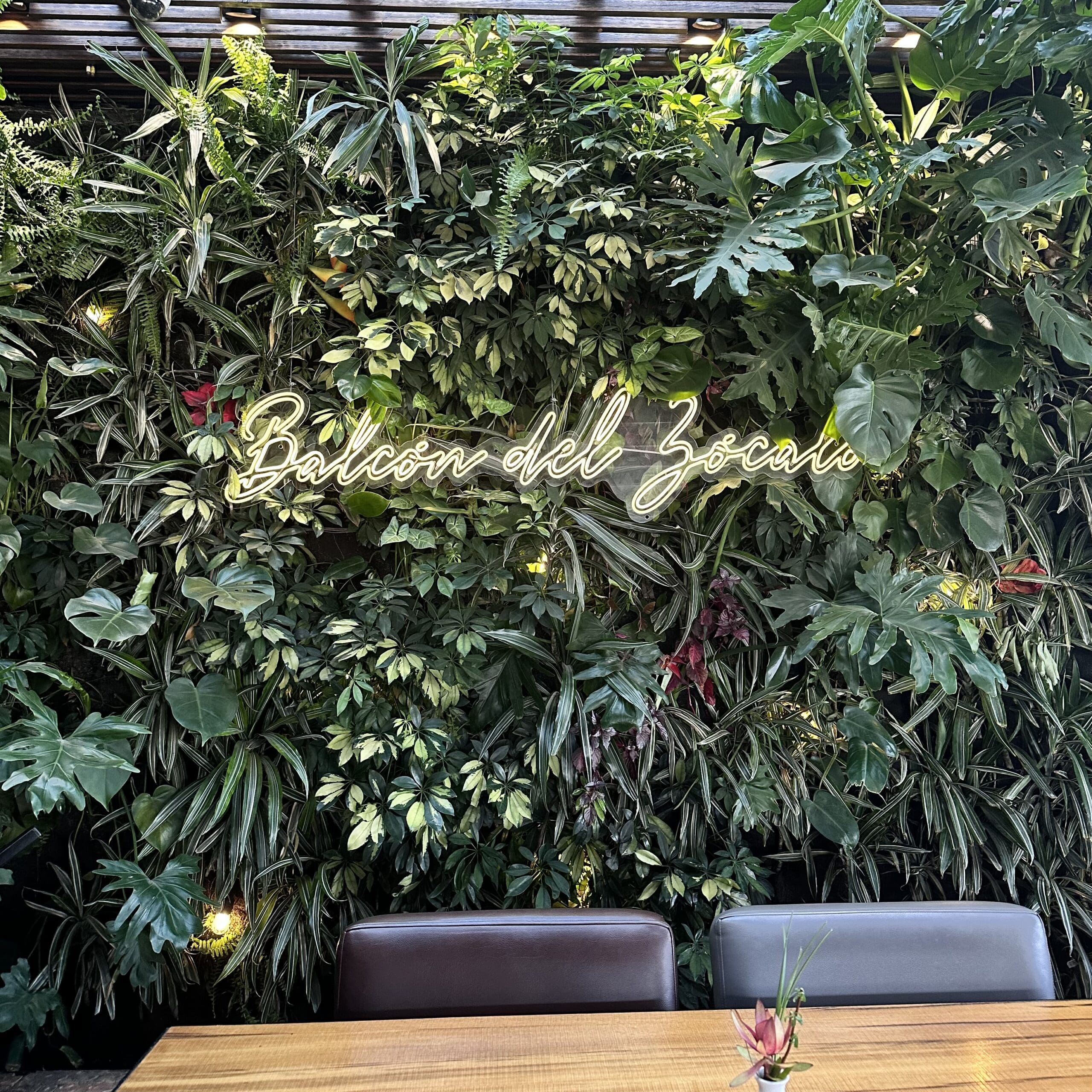 Balcon del Zocalo Restaurant in Mexico City Living Green Wall