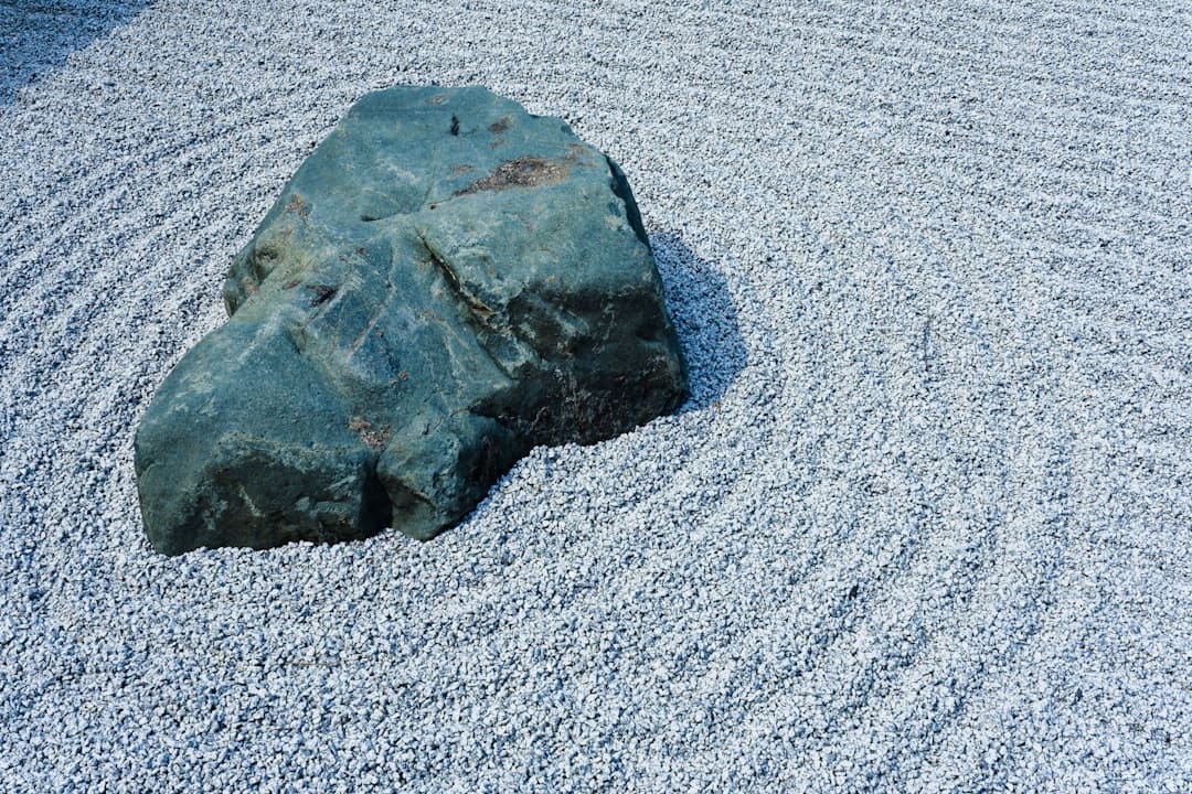 a rock in the middle of a gravel area